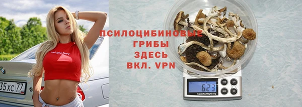 стаф Абаза
