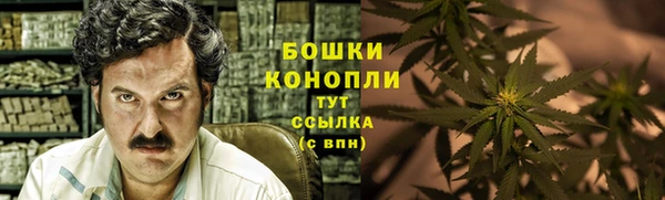 стаф Абаза
