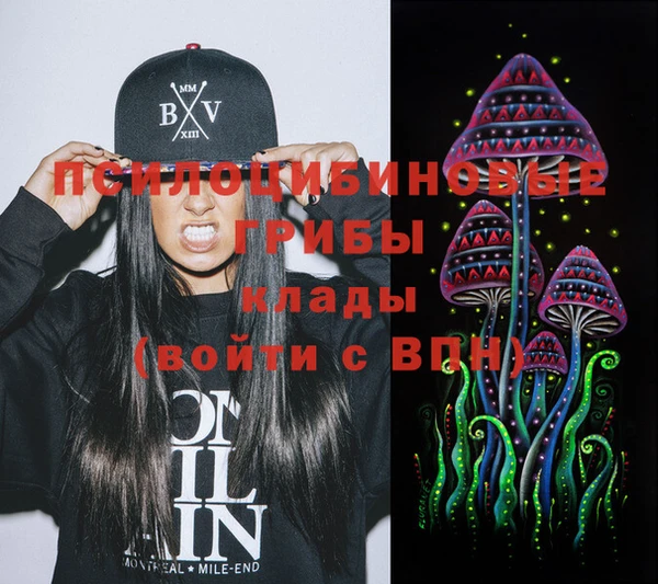 бошки Абинск